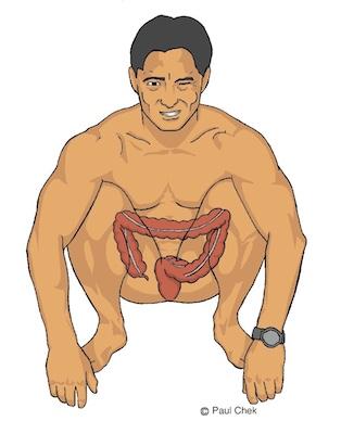 FIg 5 Squat Colon edit