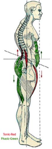 Intelligent Stretching Part 1