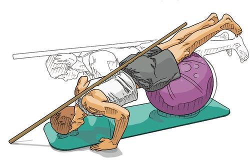 Swiss Ball Push Up