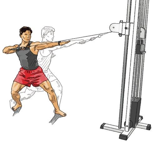Single Arm Cable Pull
