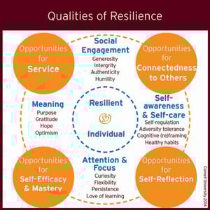 Qualities-of-Resilience_400