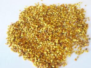 4 Reasons to add Bee Pollen to your Meal Plans