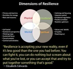 dimensions-of-resilience2