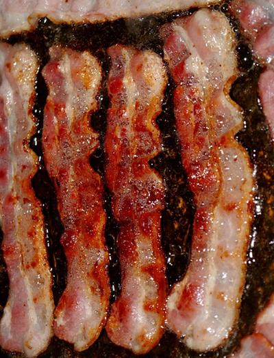 Ketogenic Diets and The Sheepie